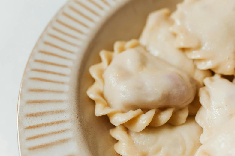 a close up of a plate of food on a table, inspired by Géza Dósa, trending on pexels, mingei, dumplings on a plate, beige, albino, thumbnail