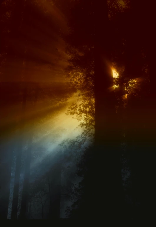 the sun is shining through the trees in the dark, an album cover, pexels contest winner, romanticism, abstract lighting, eerie spiritual grainy, night light, somber colors