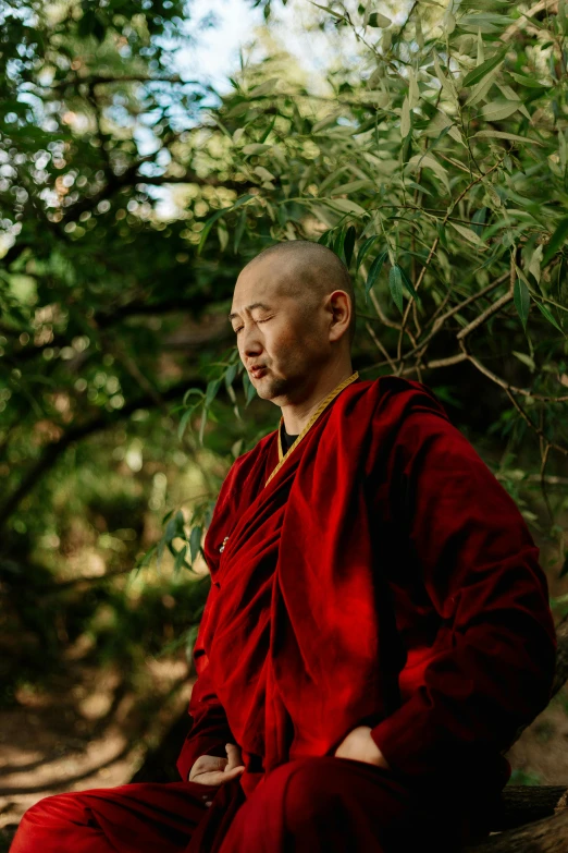 a man in a red robe sitting on a log, unsplash, shin hanga, portrait of monk, profile image, amongst foliage, in robes