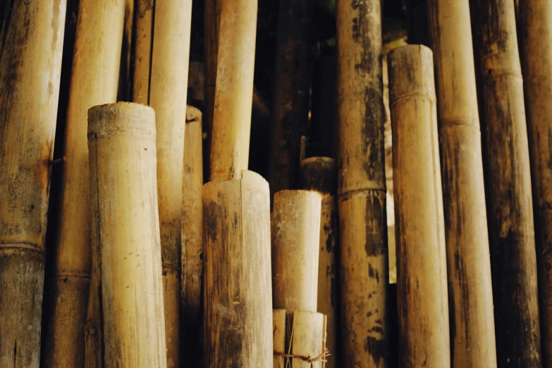 a bunch of bamboo poles sitting next to each other, an album cover, unsplash, background image, intricate details, brown, multiple stories