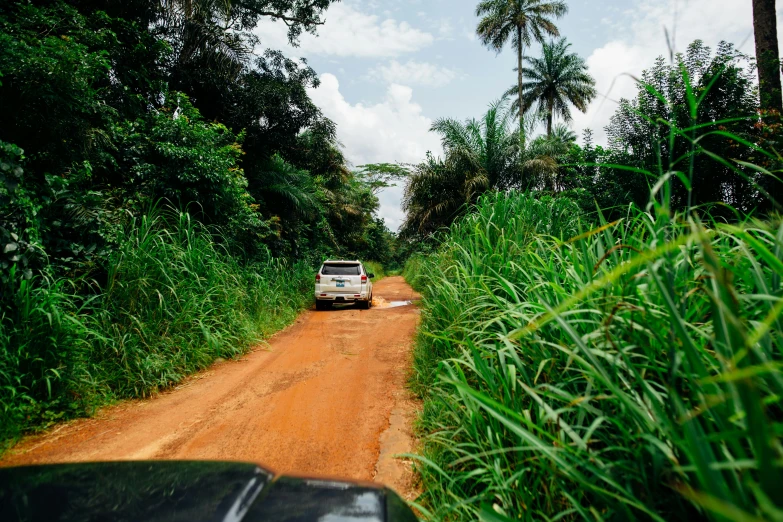 a car is driving down a dirt road, by Daniel Lieske, hurufiyya, party in jungles, avatar image