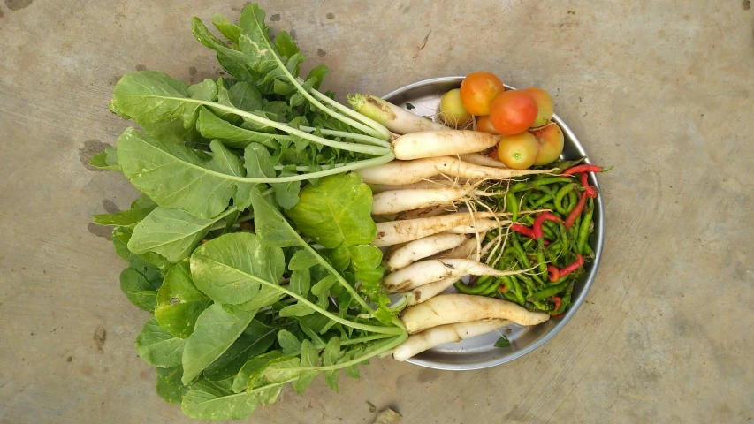 a bowl filled with lots of different types of vegetables, by Jessie Algie, dau-al-set, laos, organic growth, stems, ignant