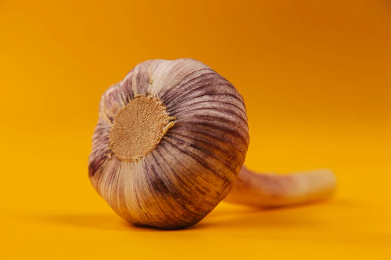 a clove of garlic on a yellow background, a macro photograph, by Carey Morris, trending on pexels, hurufiyya, poppy, grey, miniature product photo, yellow purple