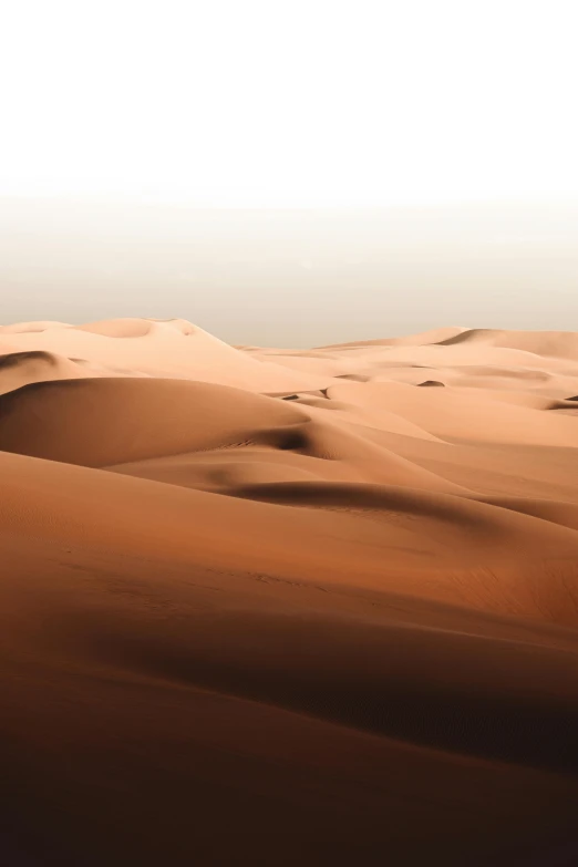 a person riding a horse in the desert, unsplash contest winner, conceptual art, sand color, dune (2021), abstract nature landscape, brown:-2