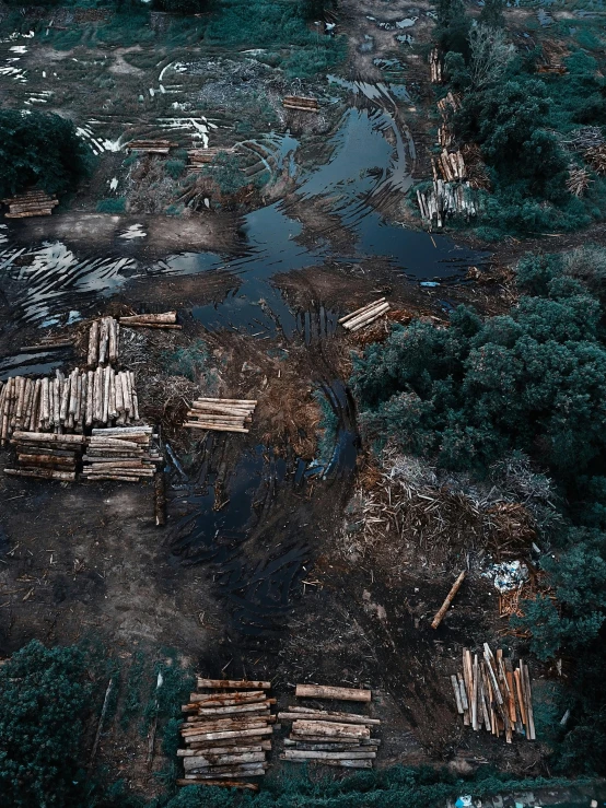 a forest filled with lots of trees next to a river, inspired by Elsa Bleda, hurufiyya, destroyed human structures, thumbnail, wooden logs, documentary photo