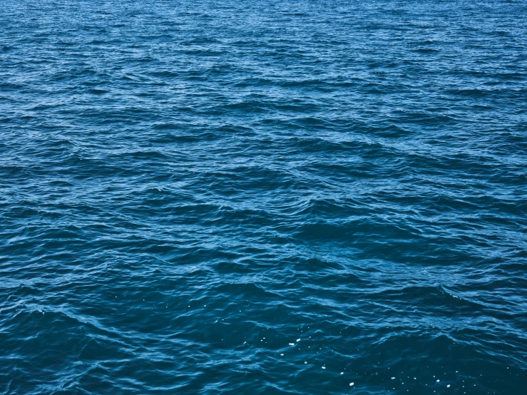 a large body of water with a boat in the distance, an album cover, by Elsa Bleda, unsplash, dark blue water, ocean pattern, ignant, cerulean blue
