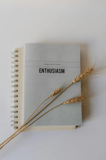 a notebook with the word enthusiasm written on it, an album cover, unsplash, aestheticism, restaurant, gray, hay, blueish