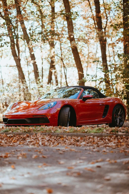 a couple of red sports cars parked next to each other, inspired by Harry Haenigsen, pexels contest winner, baroque, in the autumn forest, 2 5 6 x 2 5 6, porsche, soft top