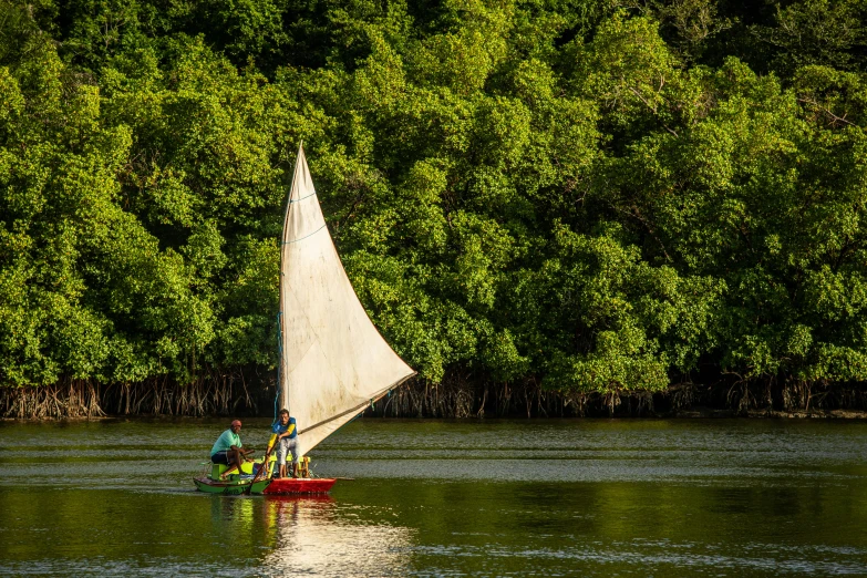 a couple of people on a small boat in a body of water, by Jessie Algie, hurufiyya, sails, mangrove trees, a green, museum quality photo