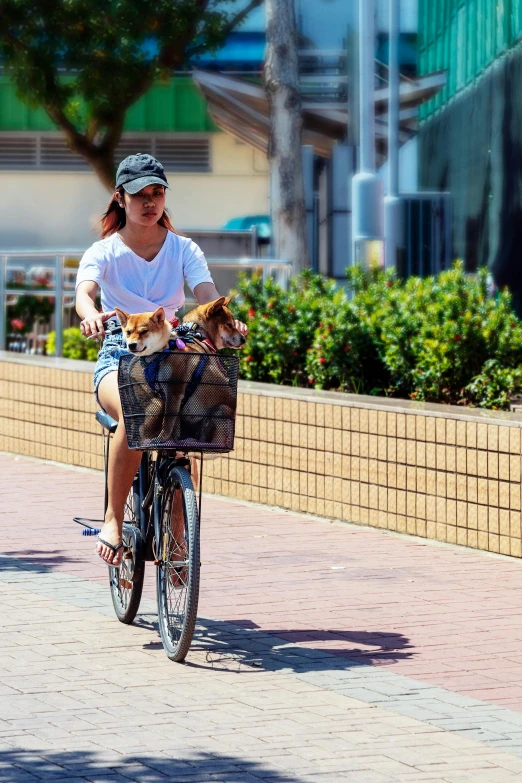 a woman riding a bike with a dog in a basket, manly, square, wearing a crop top, street pic