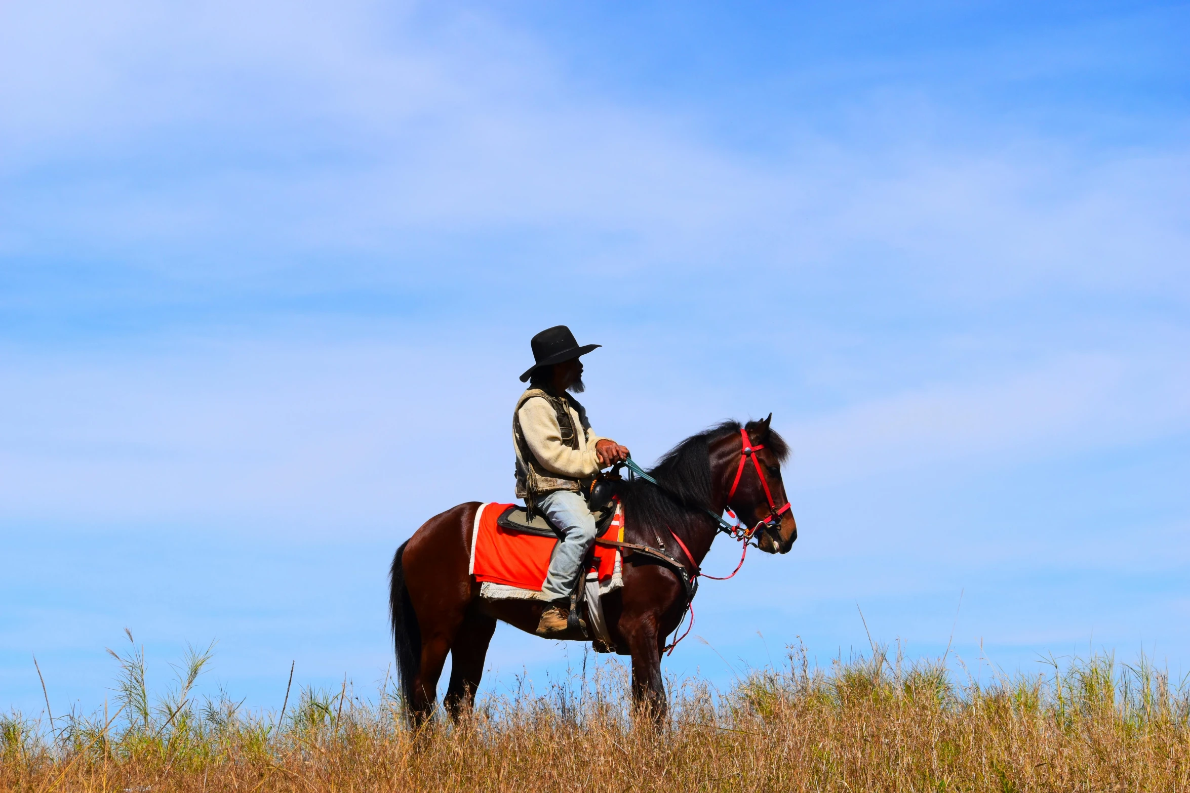 a man riding on the back of a brown horse, inspired by Frederic Remington, pexels contest winner, figuration libre, red grass, looking onto the horizon, in australia, dressed as a western sheriff