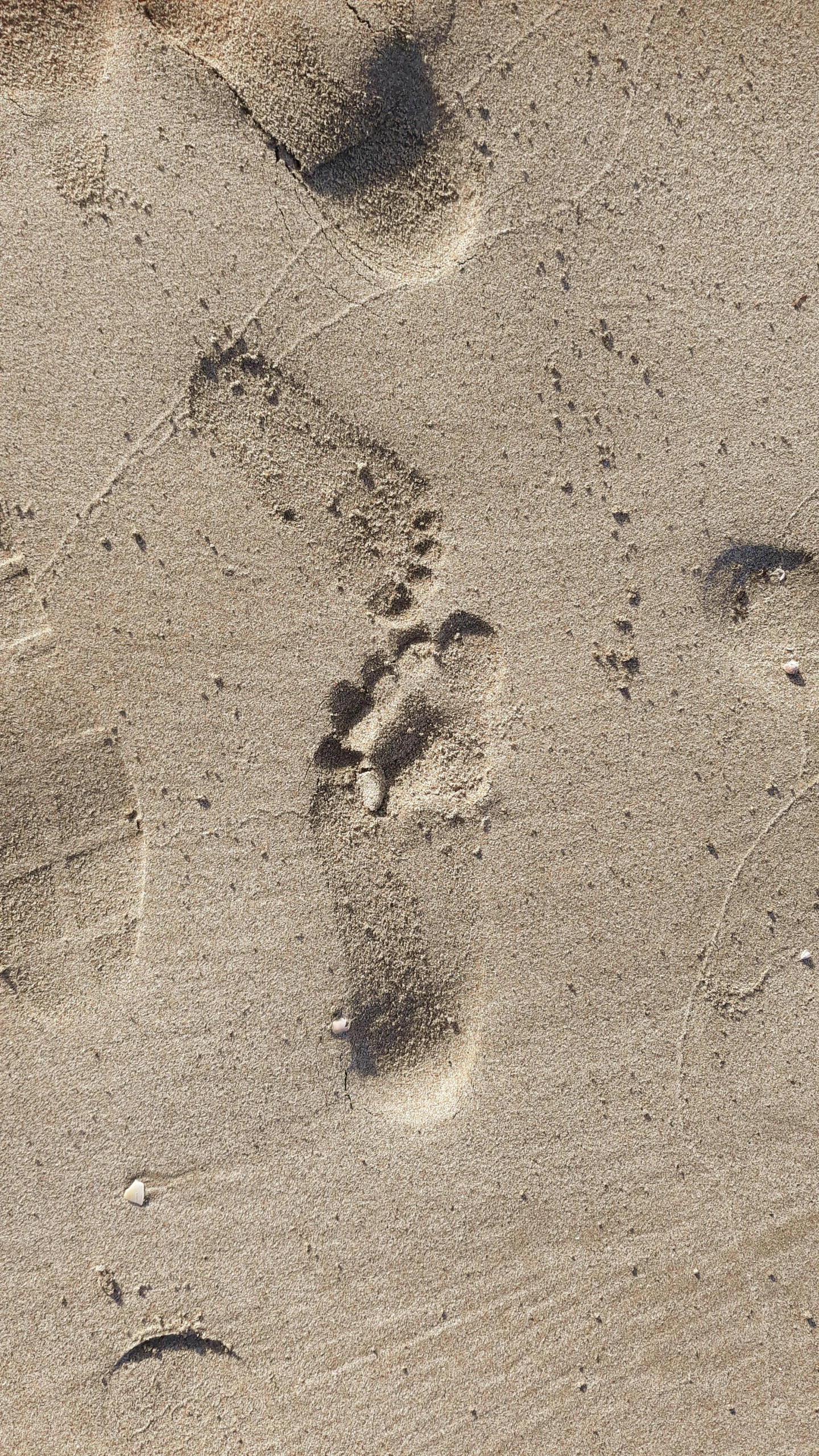 a couple of footprints that are in the sand, by Adam Pijnacker, pexels, birdseye view, 15081959 21121991 01012000 4k