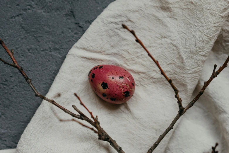 a red egg sitting on top of a white towel, trending on pexels, sōsaku hanga, wearing pink floral chiton, seeds, pink concrete, white with black spots