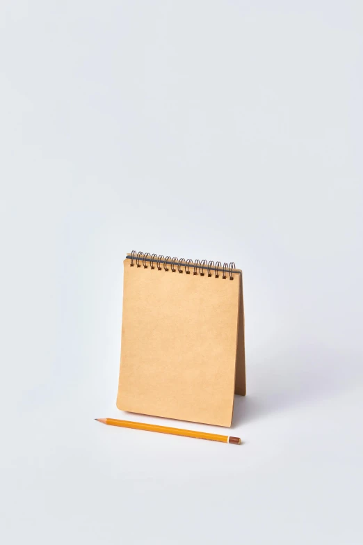 a notepad next to a pencil on a white surface, by Tsuruko Yamazaki, light brown, one model, on clear background, slate