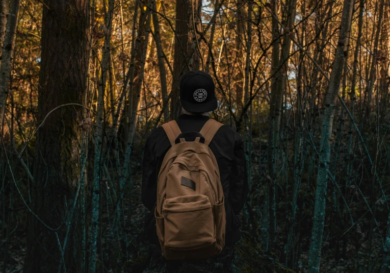 a person standing in the woods with a backpack, a picture, black and brown colors, chillhop, profile picture 1024px, educational