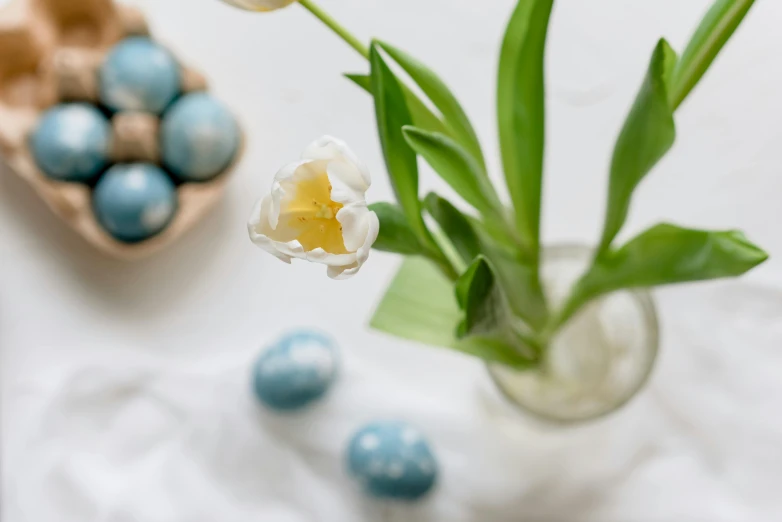 a vase filled with flowers sitting on top of a table, eggs, zoomed in shots, white and pale blue, high quality product image”