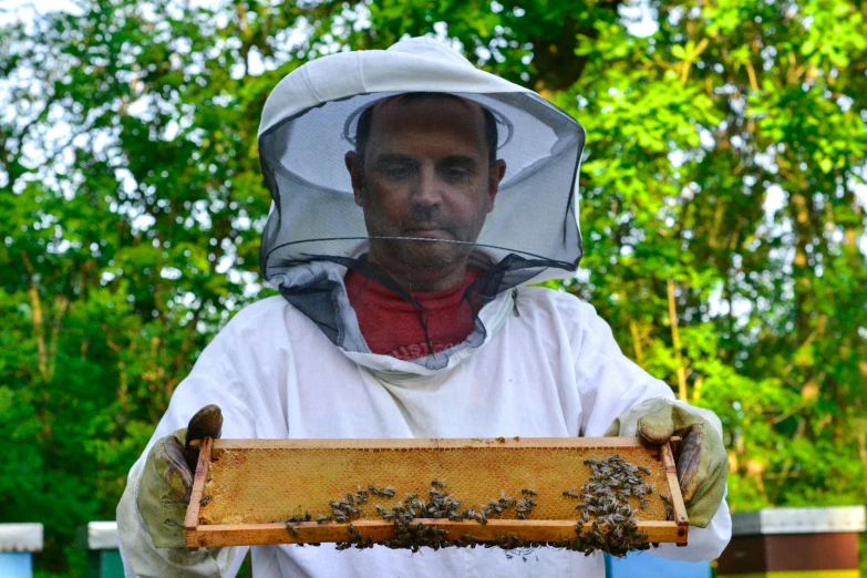 a man in a bee suit holding a beehive, a portrait, by Kev Walker, pexels, wearing a light grey crown, carrying a tray, head and shoulders in frame, close together