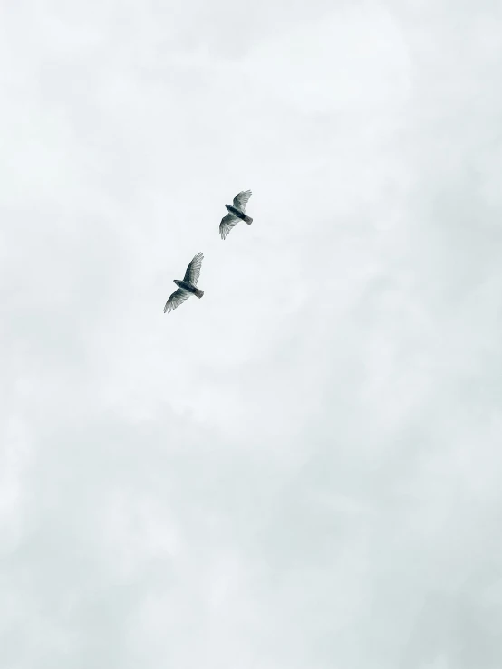 a flock of birds flying through a cloudy sky, an album cover, unsplash, minimalism, adult pair of twins, trending on vsco, jets, a 35mm photo