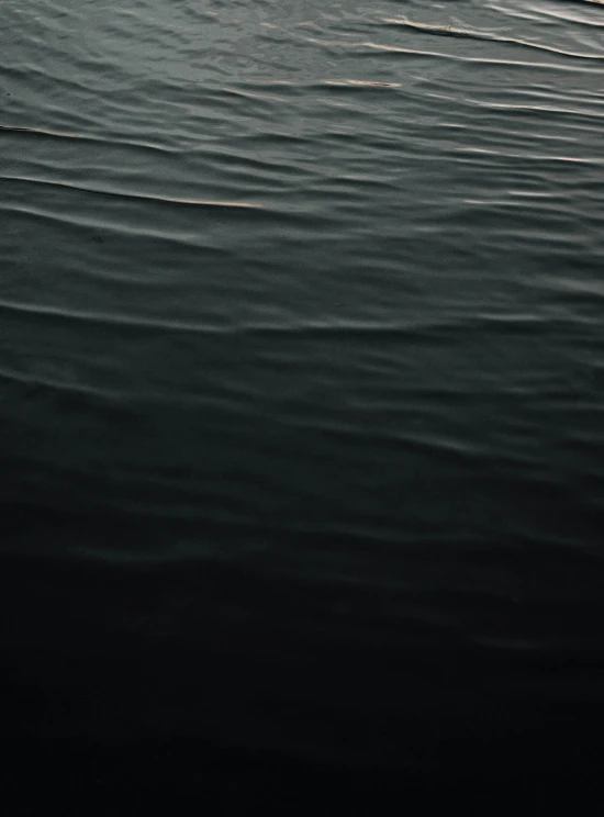 a man riding a wave on top of a surfboard, an album cover, unsplash, minimalism, dark water, on the calm lake surface, ignant, andres gursky