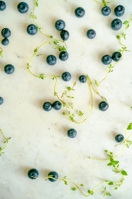 a white cake topped with blueberries and sprouts, by Kristin Nelson, trending on unsplash, arabesque, made of carrara marble, full frame image, gardening, wine