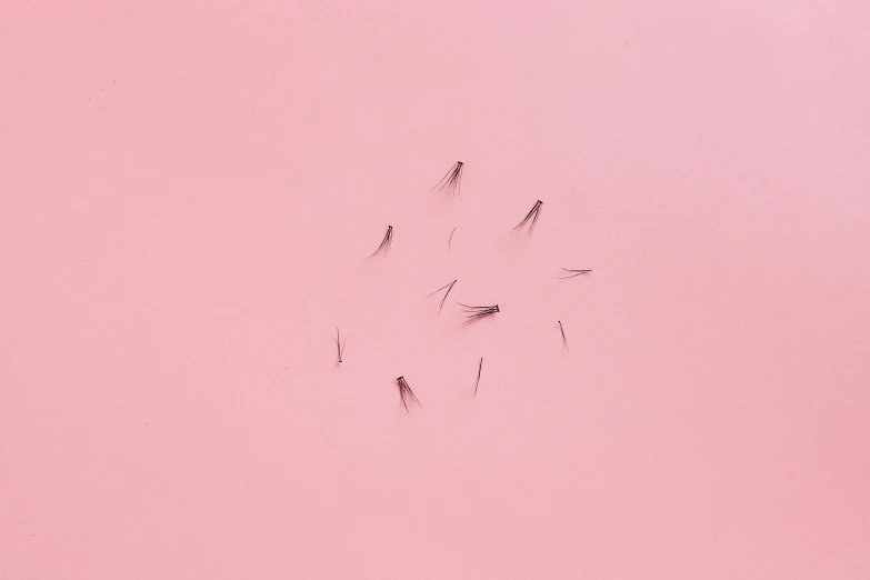 a group of mosquitos on a pink background, by Attila Meszlenyi, trending on pexels, hair is floating, minimalist photorealist, fairy circles, soft feather