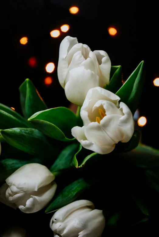 a bunch of white tulips sitting on top of a table, warm lights, on a dark background, full of details, lights on