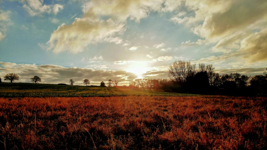the sun is setting over a field of grass, pexels contest winner, autumnal colours, wide angle”, brown