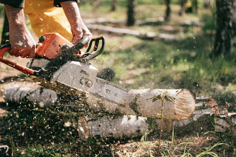 a man is cutting a tree with a chainsaw, by Lee Loughridge, pexels contest winner, hurufiyya, thumbnail, 70s photo, banner, 3 5 mm photo