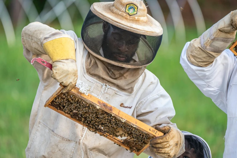 a couple of men standing next to each other holding a beehive, pexels contest winner, renaissance, staff wearing hazmat suits, jamaica, avatar image, highly focused