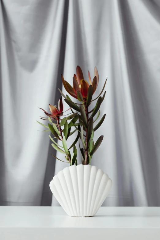 a white vase with a plant in it on a table, inspired by Pierre-Joseph Redouté, unsplash, art nouveau, wearing seashell attire, draped in velvet and flowers, medium wide front shot, sleek white