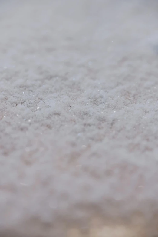 a small bird sitting on top of a snow covered ground, a macro photograph, unsplash, plasticien, covered in white flour, textured like a carpet, low - angle shot, made of glazed