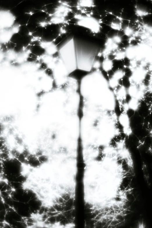 a black and white photo of a street light, an album cover, conceptual art, refracted sparkles, nightmare in the park, ( ( abstract ) ), 2010s
