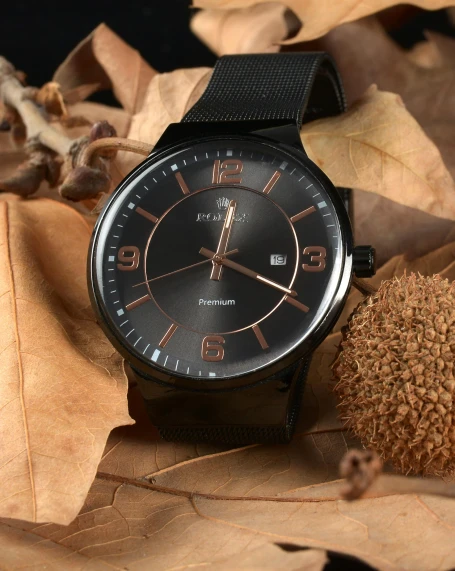 a black watch sitting on top of a pile of leaves, a portrait, pexels contest winner, bauhaus, in gunmetal grey, panoramic, square, chocolate