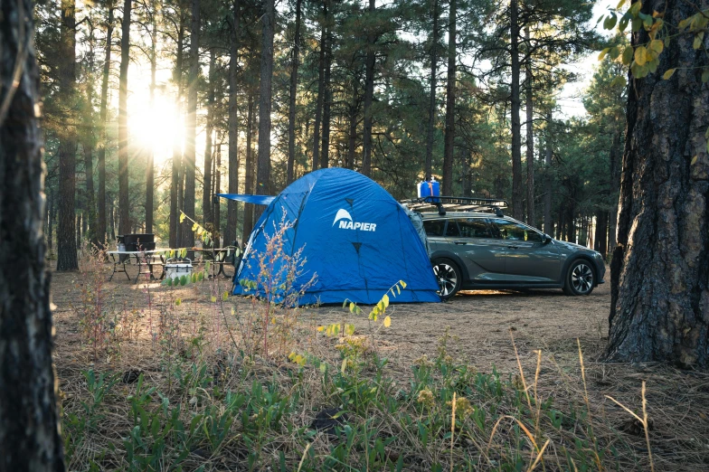 a blue tent sitting in the middle of a forest, with a roof rack, avatar image, pulsar, square