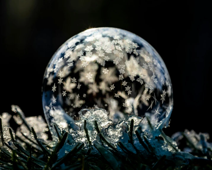 a snow globe sitting on top of a pine tree, a microscopic photo, by Adam Marczyński, pexels contest winner, underwater bubbles, intricate ornament halo, profile image, dark and intricate photograph