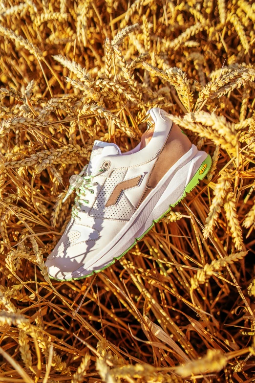 a pair of sneakers sitting on top of a field, immense wheat fields, white neon, floro details, thumbnail