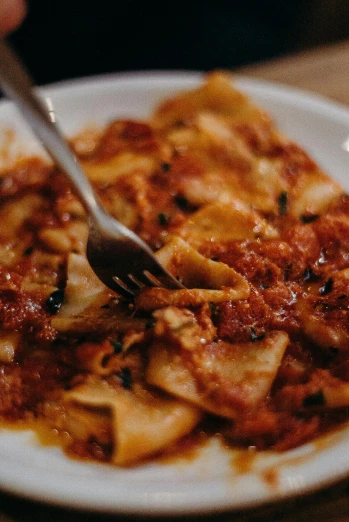 a close up of a plate of food with a fork, filippo brunelleschi, reds, gooey, folds