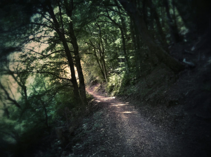 a dirt road in the middle of a forest, an album cover, romanticism, eerie shimmering surroundings, hiking trail, iphone picture, alex heywood