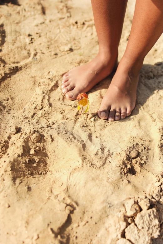 a person standing on top of a sandy beach, dragon paws, little kid, sandy colours, dry dirt