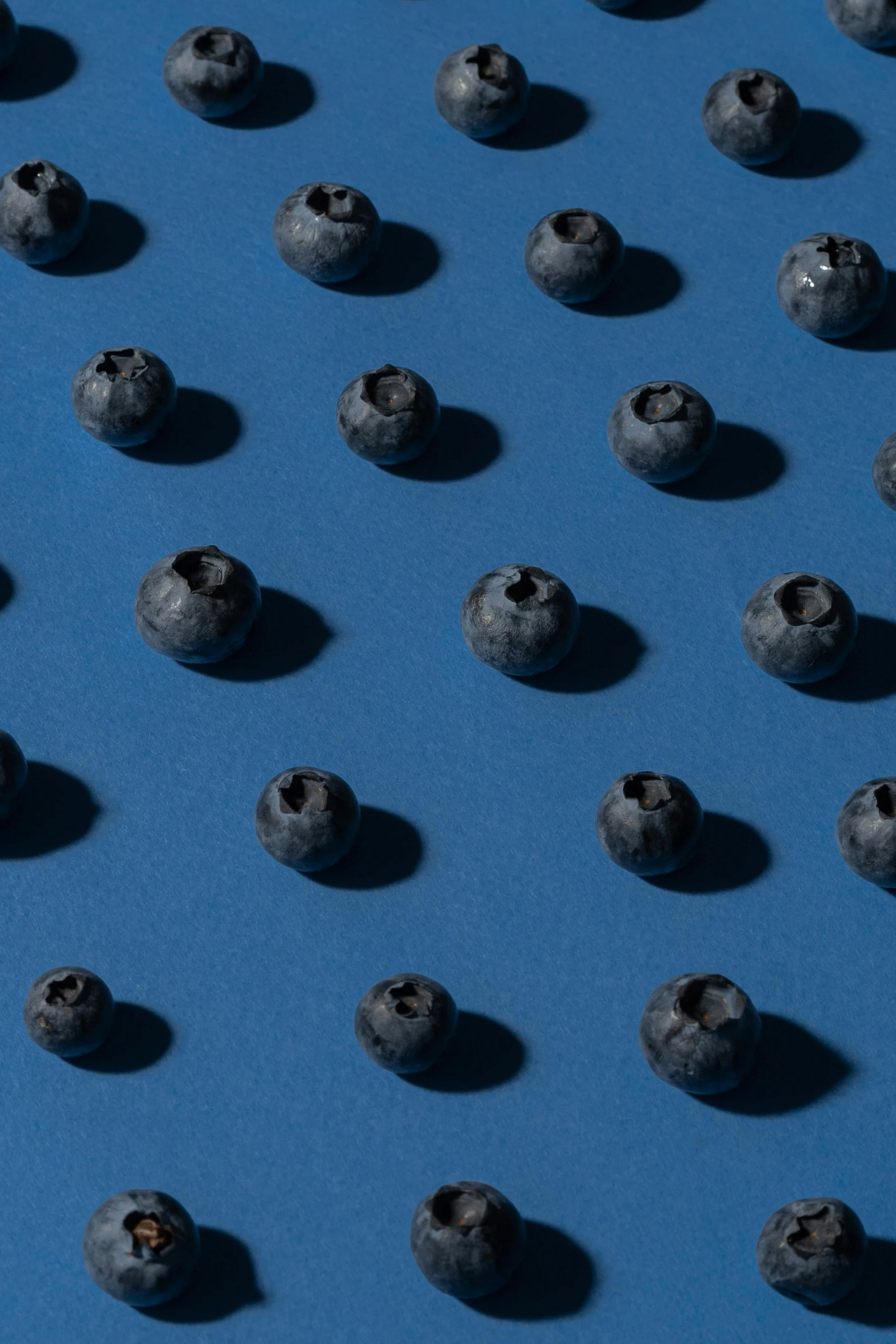 a bunch of blueberries sitting on top of a blue surface, indigo occult pattern, ignant, in a row, full product shot