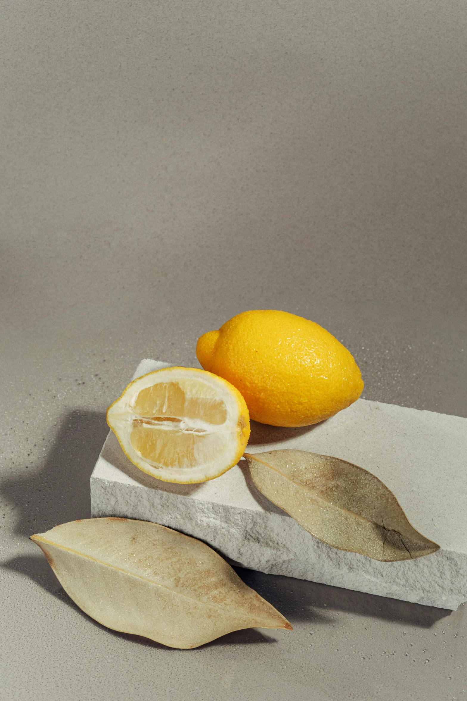 a painting of lemons and leaves on a table, a still life, trending on pexels, smooth solid concrete, modern minimalist f 2 0, carved soap, graphic detail