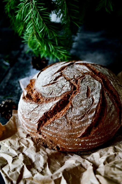 a loaf of bread sitting on top of a piece of paper, dark pine trees, decoration, round format, chocolate. rugged