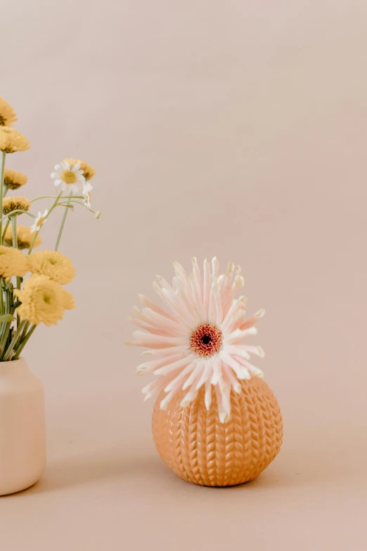 a couple of vases sitting next to each other, sea anemone, holding daisy, in shades of peach, zoomed out shot