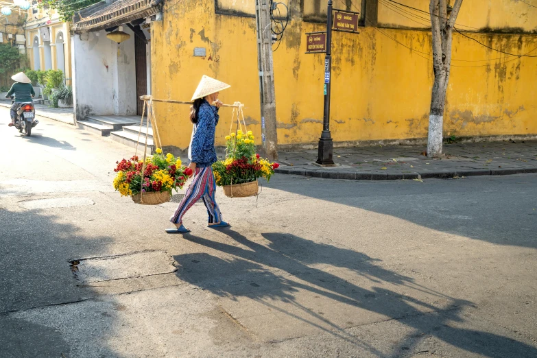 a woman walking down a street carrying baskets of flowers, inspired by Ruth Jên, pexels contest winner, vietnamese temple scene, avatar image, warm sunshine, high resolution photo