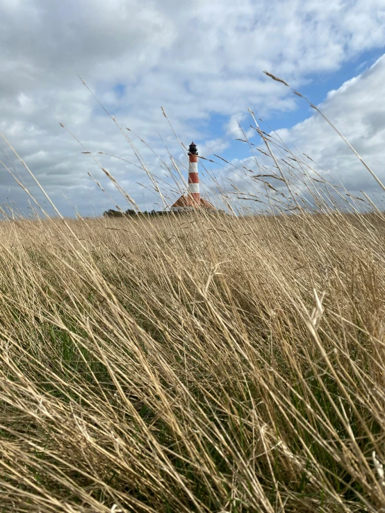 a person in a field flying a kite, lighthouse, long grass in the foreground, with neat stubble, pale pink grass