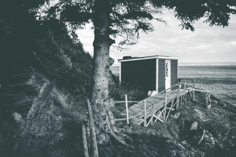 a black and white photo of a beach hut, a black and white photo, unsplash, renaissance, pine treehouse, near the sea, profile image, vintage color