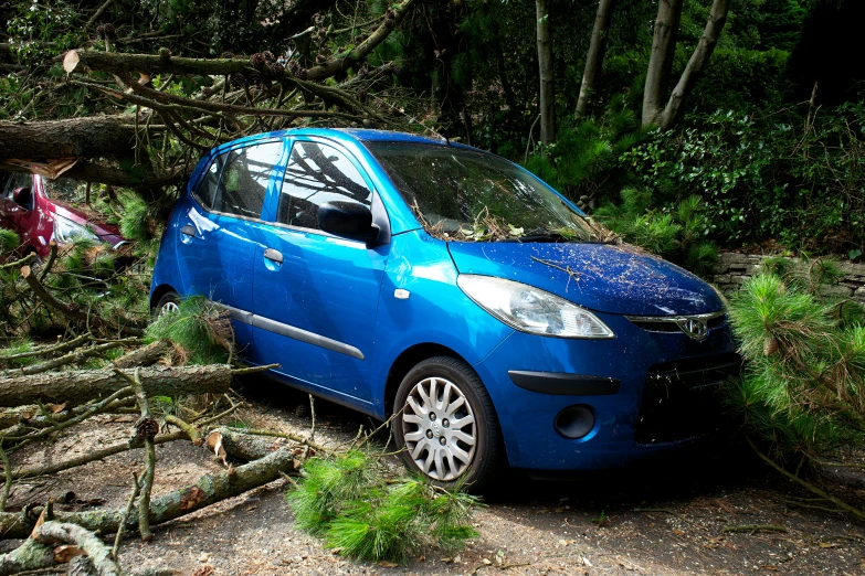 a blue car parked next to a fallen tree, avatar image, panels, ap, eco