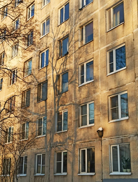 a red fire hydrant sitting in front of a tall building, a photo, inspired by André Kertész, unsplash, socialist realism, massive trees with warm windows, soviet apartment building, late afternoon sun, taken on iphone 14 pro