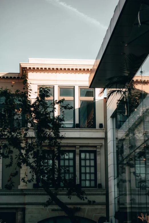 a group of people standing in front of a building, afternoon lights, neo classical architecture, black windows, city buildings on top of trees