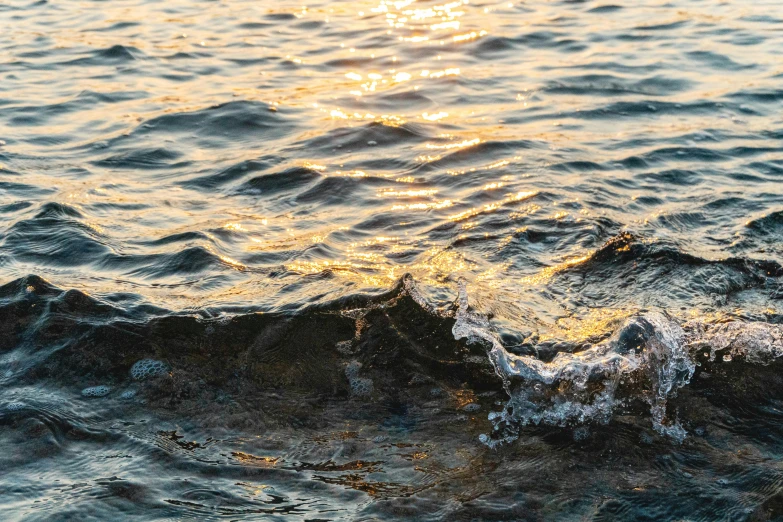 a close up of a body of water with waves, by Niko Henrichon, unsplash, dappled golden sunset, sparkling cove, charybdis, 8k octan photo